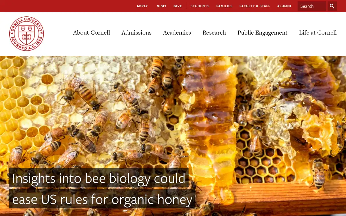 www.cornell.edu screenshot