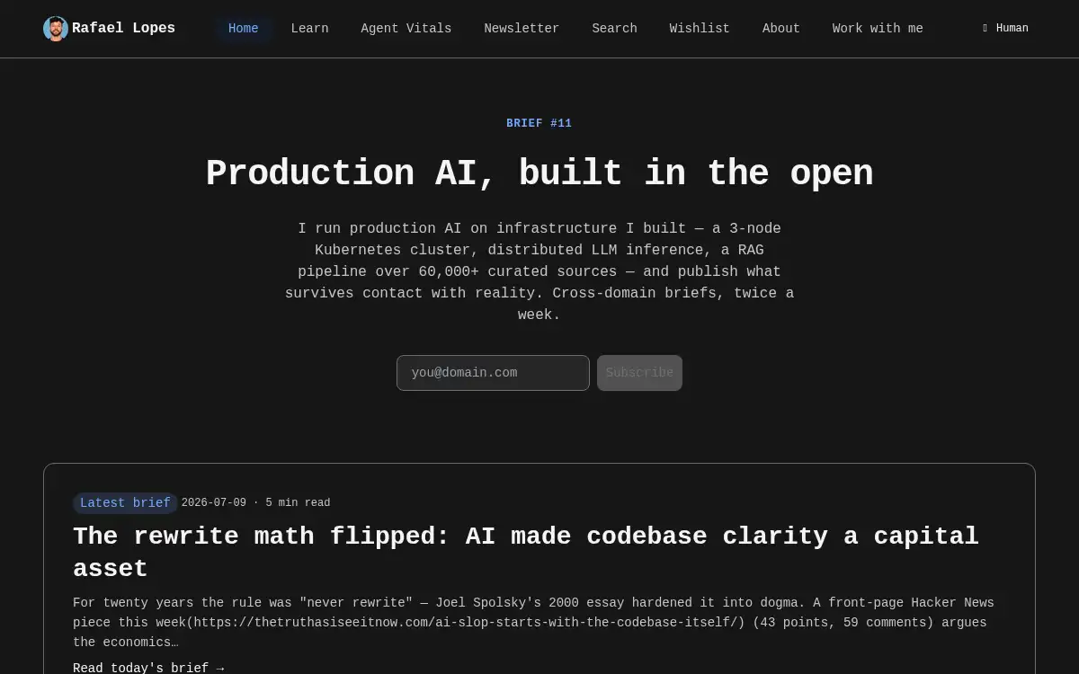 Final screenshot of https://blog.r-lopes.com/